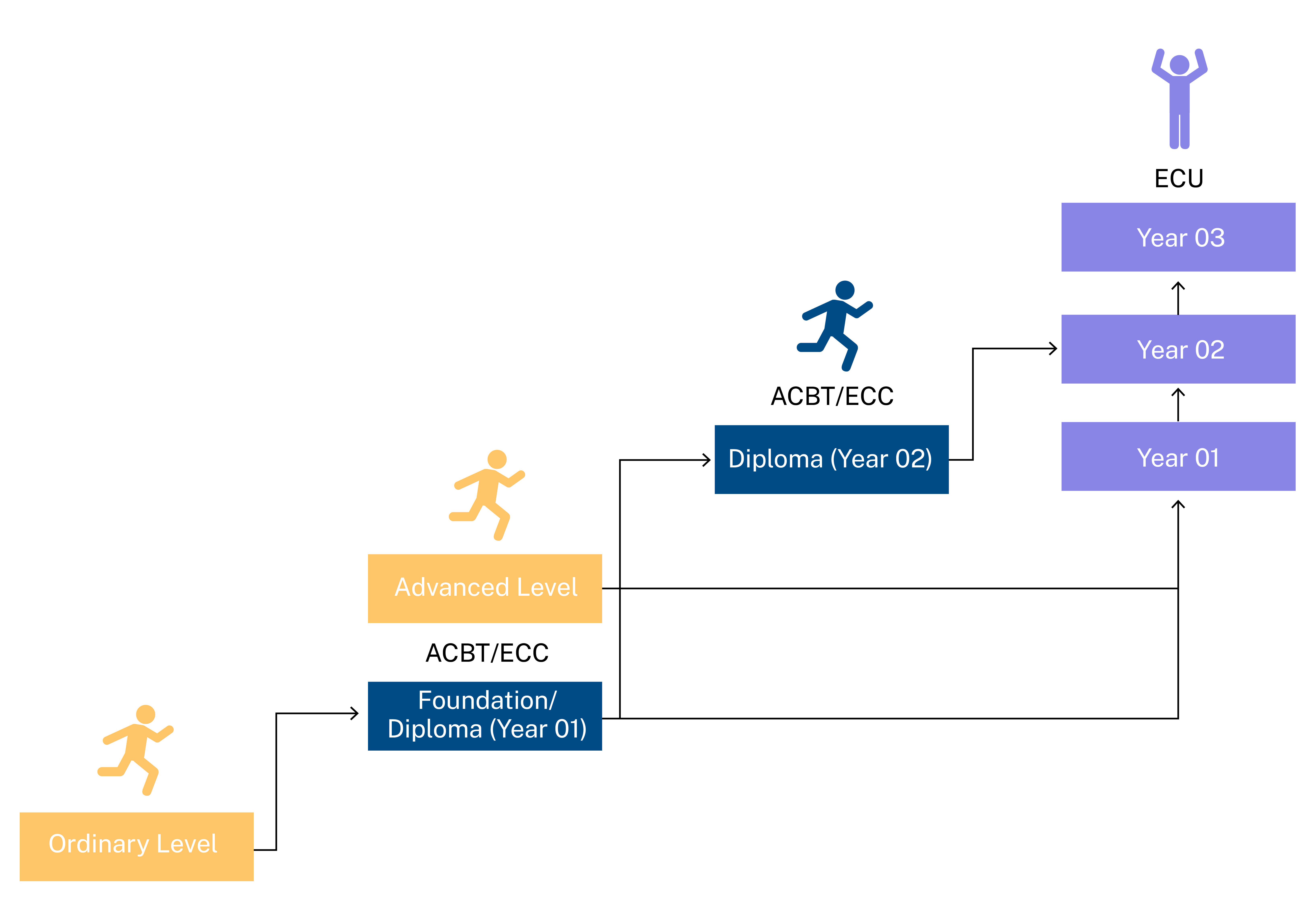 pathway diagram